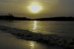 NAT_0767