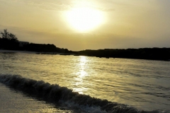NAT_0772